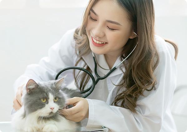 專業醫療團隊